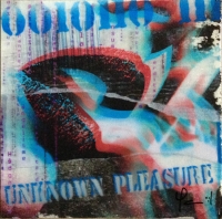 Unknown Pleasure #1